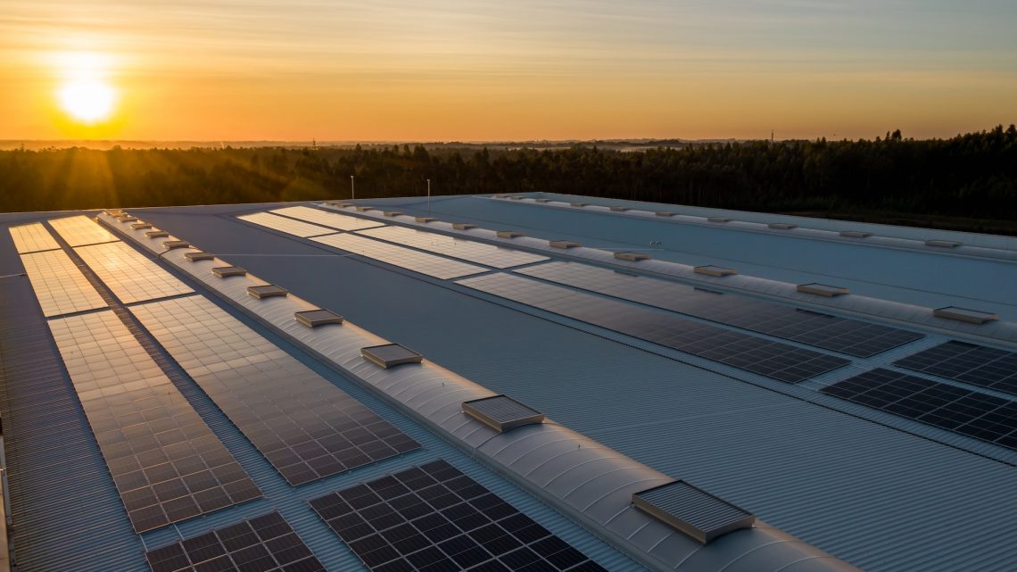 Potsdams größter Solarpark nimmt Form an: Stadtverordnete vor Entscheidungsschritt