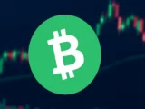 Bitcoin Cash Prognose