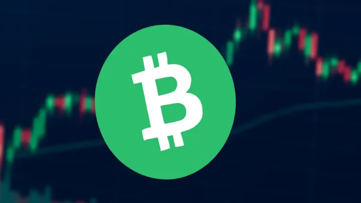 Bitcoin Cash (BCH) Prognose 2025–2030 – Kurs, Analyse & Zukunft