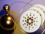 Cardano Chain Split