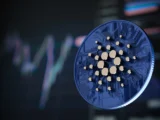 Cardano Gelingt Durchbruch in Berlin