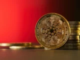 Cardano Netzwerkstörung