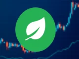 Chia Coin Prognose