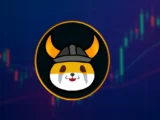 Floki Inu Coin Prognose
