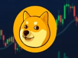 Maxi Doge Prognose