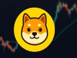 PlayDoge Prognose