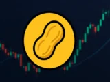Pnut Coin Prognose