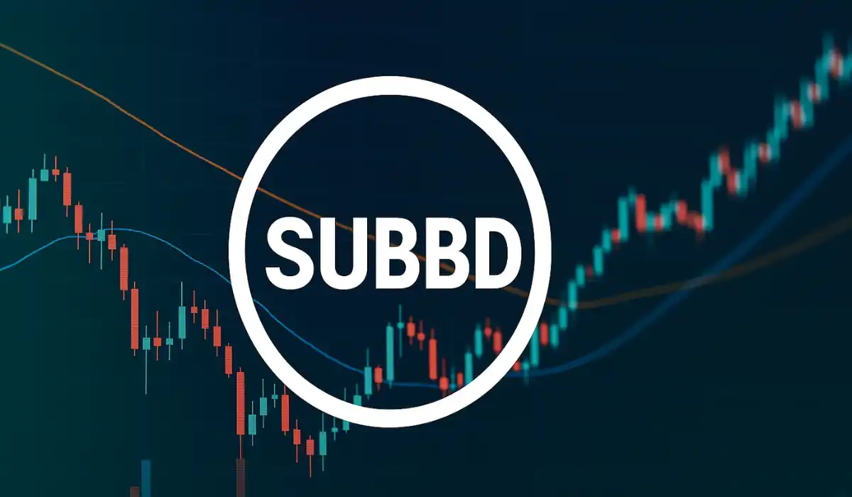 SUBBD Coin Prognose 2025–2030: Preisentwicklung, Chancen & Risiken