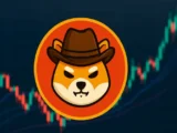 Shiba Shootout Prognose