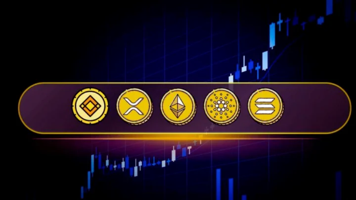 XRP, BNB und Solana fallen, während Analysten die nächste 100x Kryptowährung vorhersagen