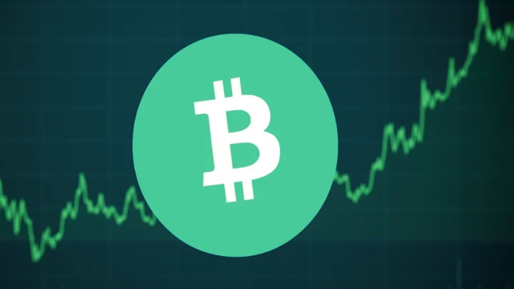Bitcoin Cash (BCH) Kurs Prognose: Zwischen Hoffnung und Unsicherheit – Wo geht die Reise hin?
