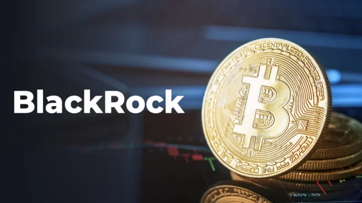 BlackRock bezeichnet Bitcoin als eines der größten globalen Investmentthemen