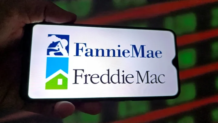 Burry entfacht neue Hoffnungen auf ein IPO von Fannie Mae und Freddie Mac