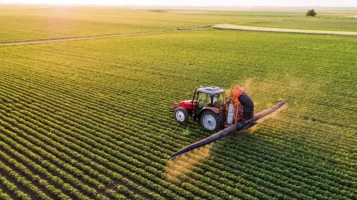 Hoffest Wennerstorf 2026: Bio-Landwirtschaft, lebendige Geschichte und Inklusion erleben – Ein Fest für die ganze Familie