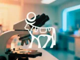 Aktienvergleich 2026: Novo Nordisk, TUI und Globex Mining.